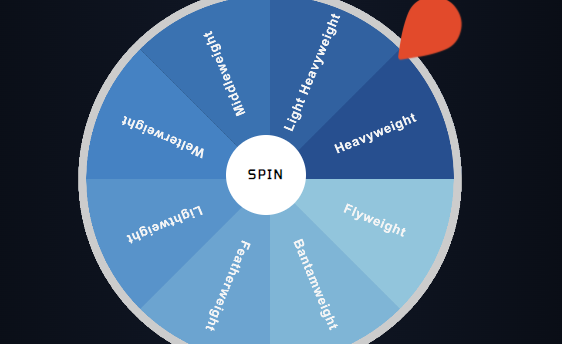 MMA-Spinning-Wheel